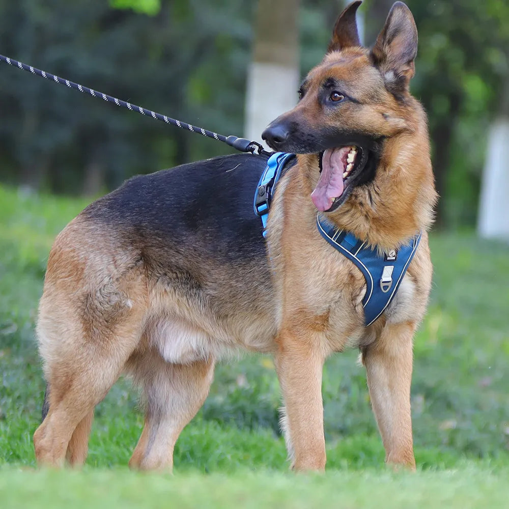Pet Chest Vest  Strap