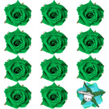 Yilloog 12 Pack Rose Hair Clip Flower 2.8 Hairpin Floral Brooch Floral Hair Clips Mexican Hair Flowers Hairpin Party Supplies for Women Rose Hair Accessories Wedding Pack(Green)