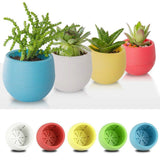 Mini Colorful PP Succulent Planter - Simple Design