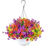 Violet Hanging Garden Basket