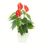 Artificial Latex Bridal Wedding Bouquet for Home Decor