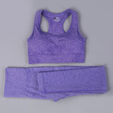 2/3PCS Seamless Women Workout Sportswear - Atlantic Shopping Mall