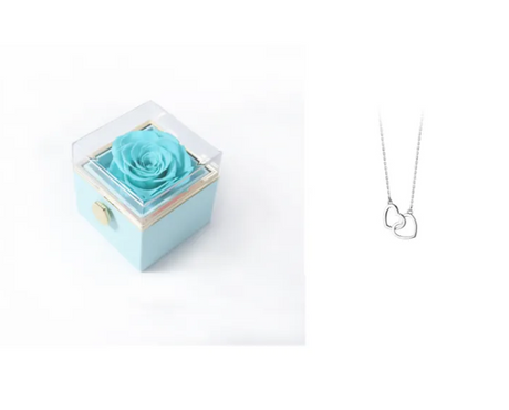 BloomSpin Acrylic Jewelry Organizer