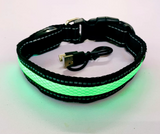 Reflective LED Dog Collar with Leather and Ribbon Design