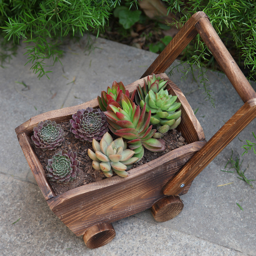 Cartoon Cart Succulent Planter - Rectangular Design