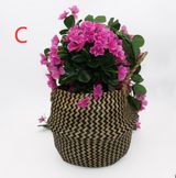 Handcrafted Woven Seagrass Basket and Planter
