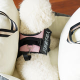 Pet Car Safety Seat with Removable Washable Cushion