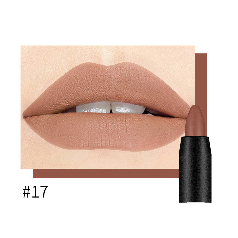 DNM Matte Lipstick