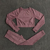 High Waist Yoga Pants Set