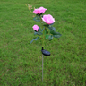 Solar-Powered LED Garden Light