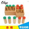 Wooden Montessori Sensory Educational Toy Set for Kids
