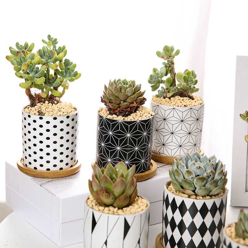 Geometric Ceramic Succulent Planter - Nordic Style