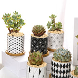 Geometric Ceramic Succulent Planter - Nordic Style