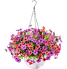 Violet Hanging Garden Basket