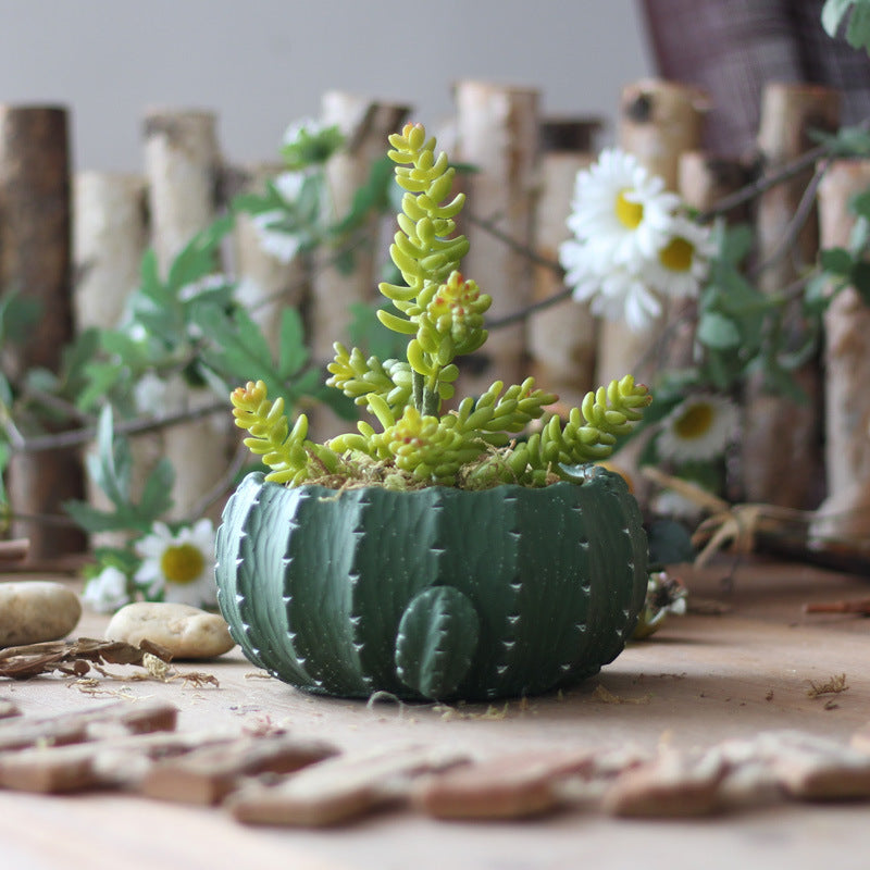 Cement Cactus Planter for Garden Decoration