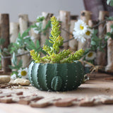 Cement Cactus Planter for Garden Decoration