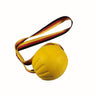 EVA Pet Toy Ball - Floating Frisbee for Dogs