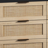 Drawers Rattan Storage Cabinet Rattan Drawer,for Bedroom,Living Room,Black