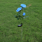 Solar-Powered LED Garden Light