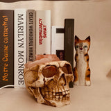 Resin Skull Rock Lamp - Halloween Home Decor Night Light