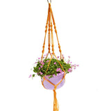 Colorful Thick Rope Hanging Basket and Planter Net