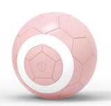 Electric Pet Toy Ball