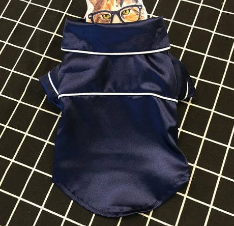 Personality Teddy Pet Outfit