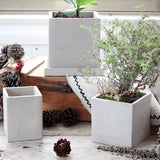 Creative Square Cement Planter for Succulents and Cacti