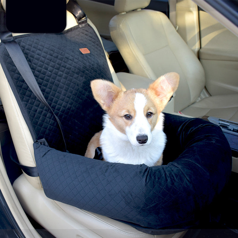 Car Kennel and Co-Pilot Artifact for Travel