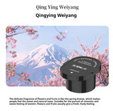 Car Fragrance Diffuser