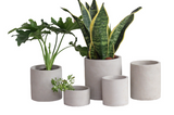Creative Square Cement Planter for Succulents and Cacti