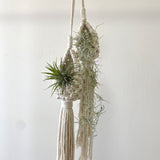 Bohemian Handmade Woven Tapestry Planter Decor