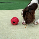 Red Feet Pet Water Leaking Toy for Fun Playtime