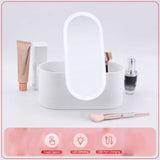 Portable Makeup Organizer with LED Light & Mirror