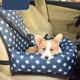 Car Kennel and Co-Pilot Artifact for Travel