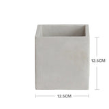 Creative Square Cement Planter for Succulents and Cacti
