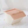 Two Tone Dustproof Cosmetic Storage Box for Makeup