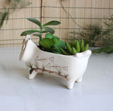 Ceramic Succulent Planter with Cat Design