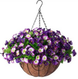 Violet Hanging Garden Basket