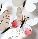 3D Realistic Butterfly Set of 12 Home Decor (White)