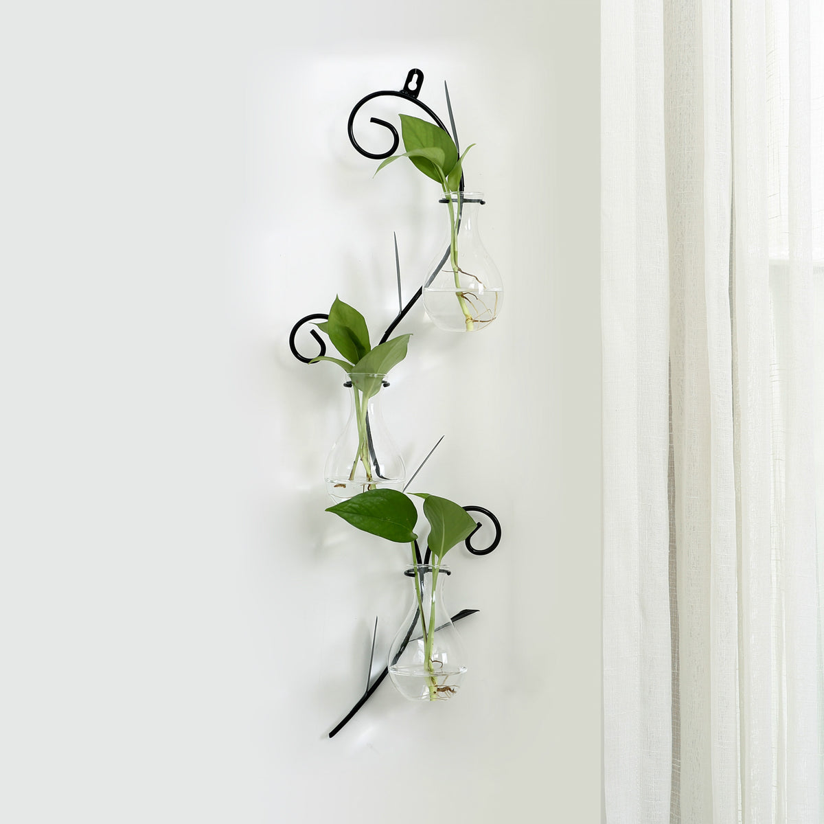 Iron Art Wall Planter with Transparent Glass Vase