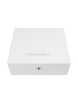 Professional Makeup Artist Makeup Case with LED Mirror