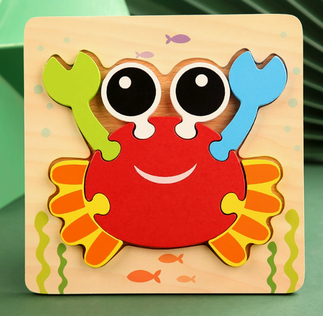 Montessori Wooden Educational Puzzle Board (One Set)
