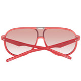 Polaroid Multicolor Acetate Sunglasses
