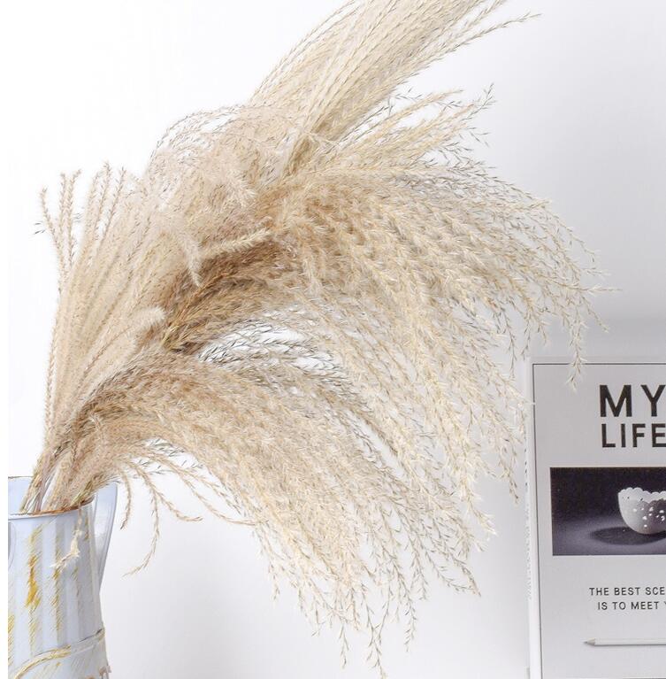 Dried Reed Flower Bouquet for Home and Wedding Decor