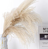 Dried Reed Flower Bouquet for Home and Wedding Decor