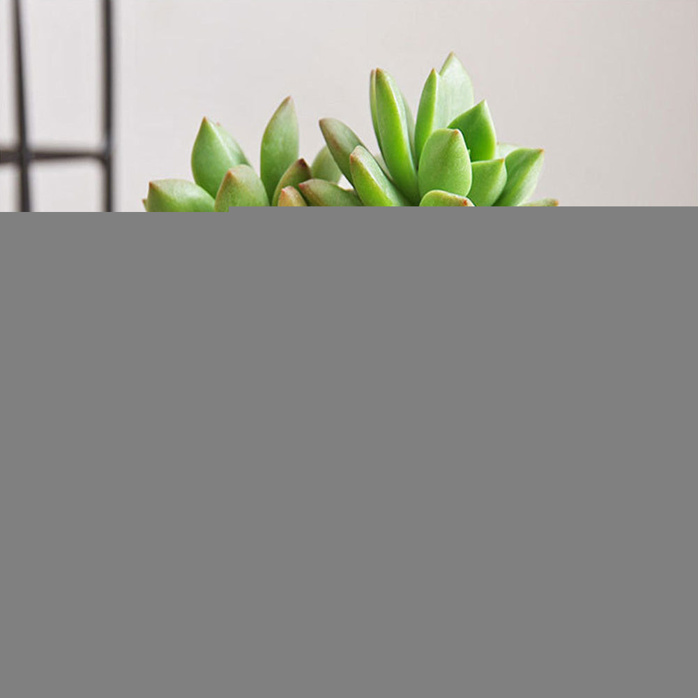 Creative Desktop Planter with Vintage Design (Felt)