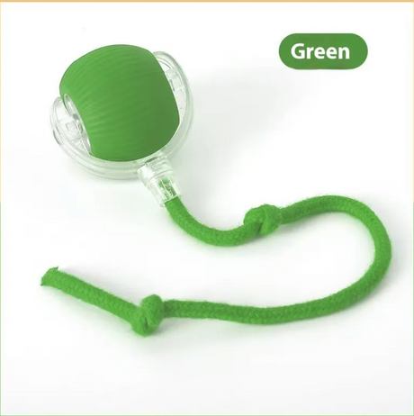 Cat Bite-Resistant Toy Ball