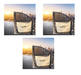 Magnetic Car Sunshade