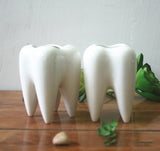 Wholesale White Ceramic Tooth-Shaped Planter Pot